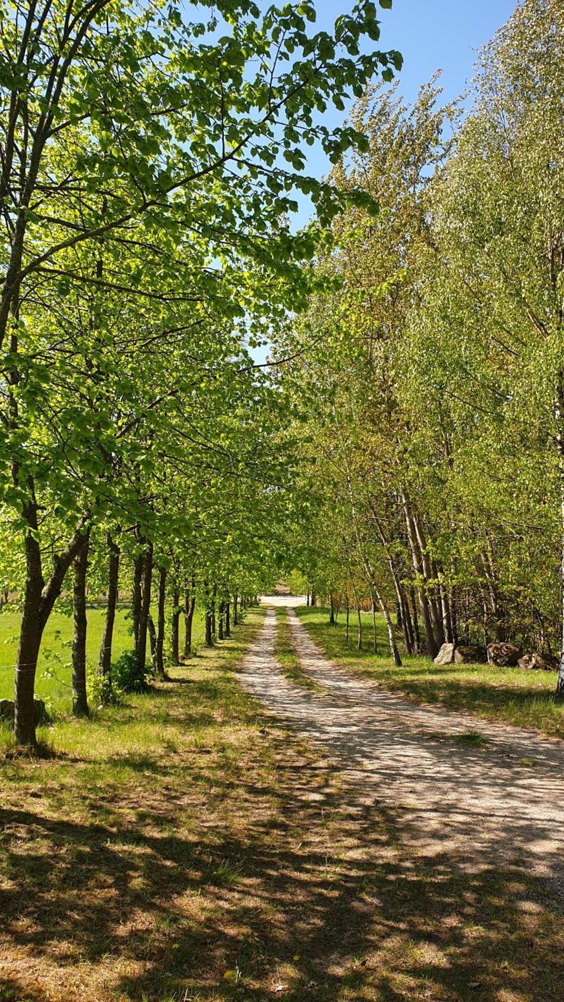 Bed and Breakfast Żabie Oko Kruklanki Zewnętrze zdjęcie